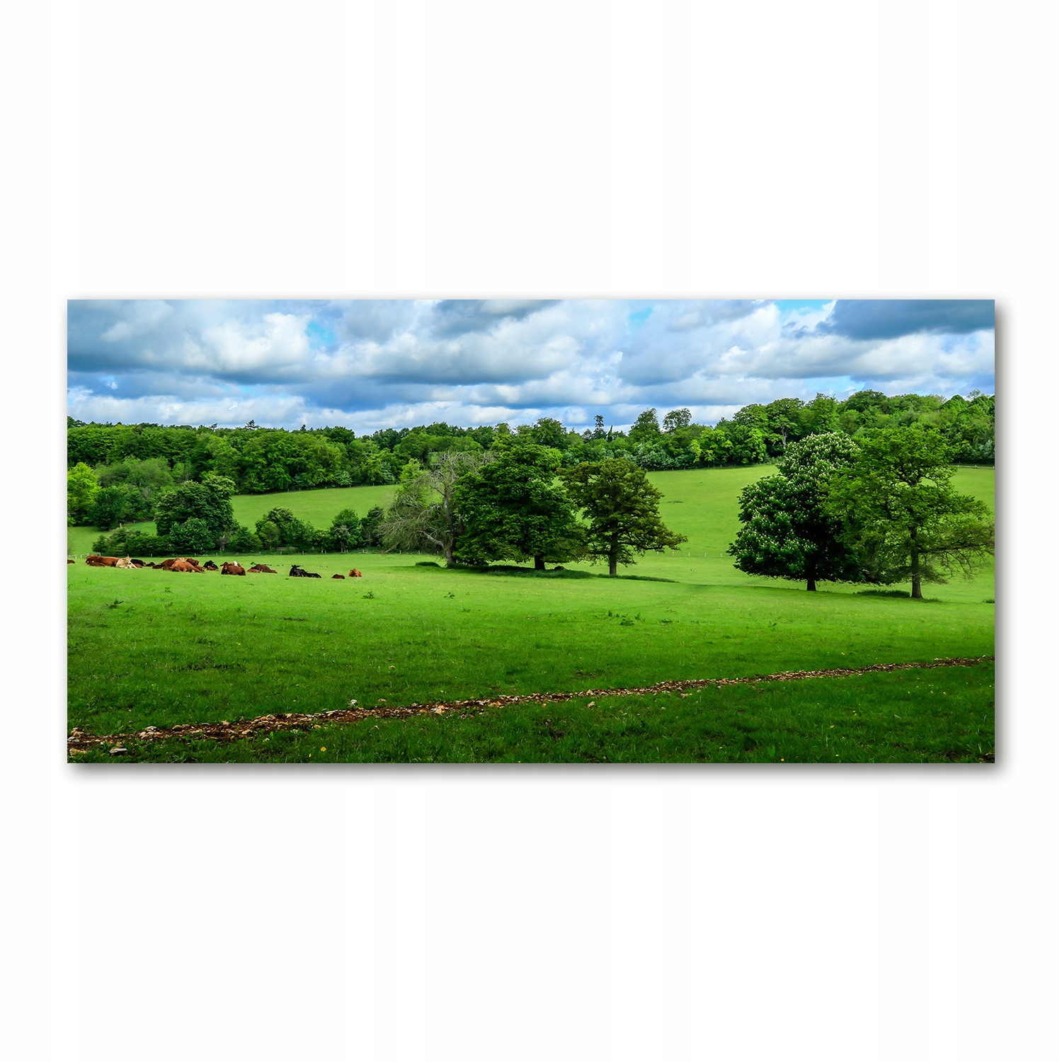 

Foto obraz akryl zdjęcie Zielone wzgórza 120X60 cm