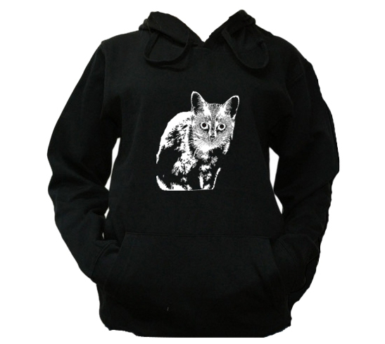 

XL Bluza Kaptur Męska Koty Cats Kotki Kot Wzór