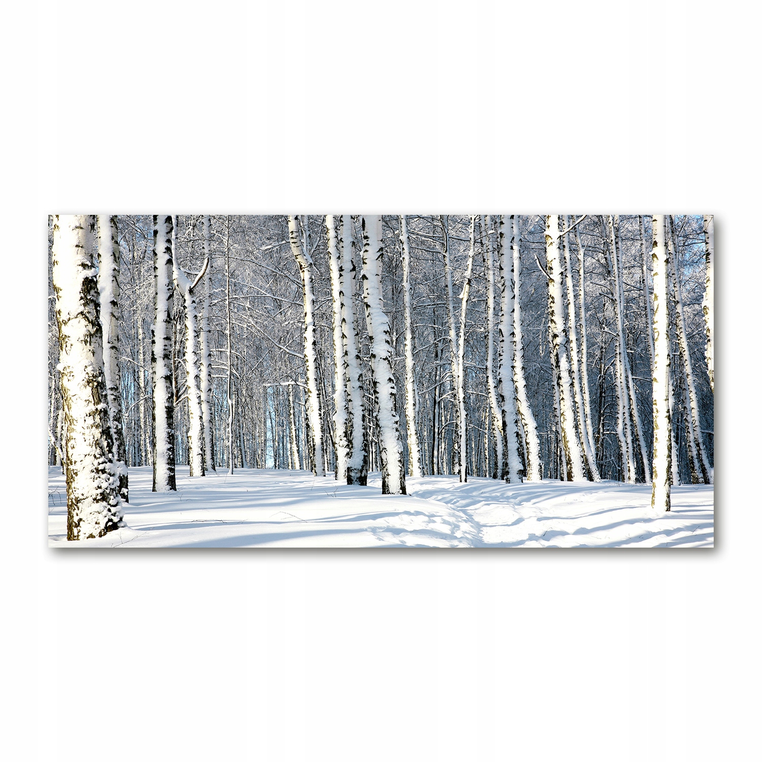 

Foto obraz duży akryl nowoczesny Las zimą 120X60cm