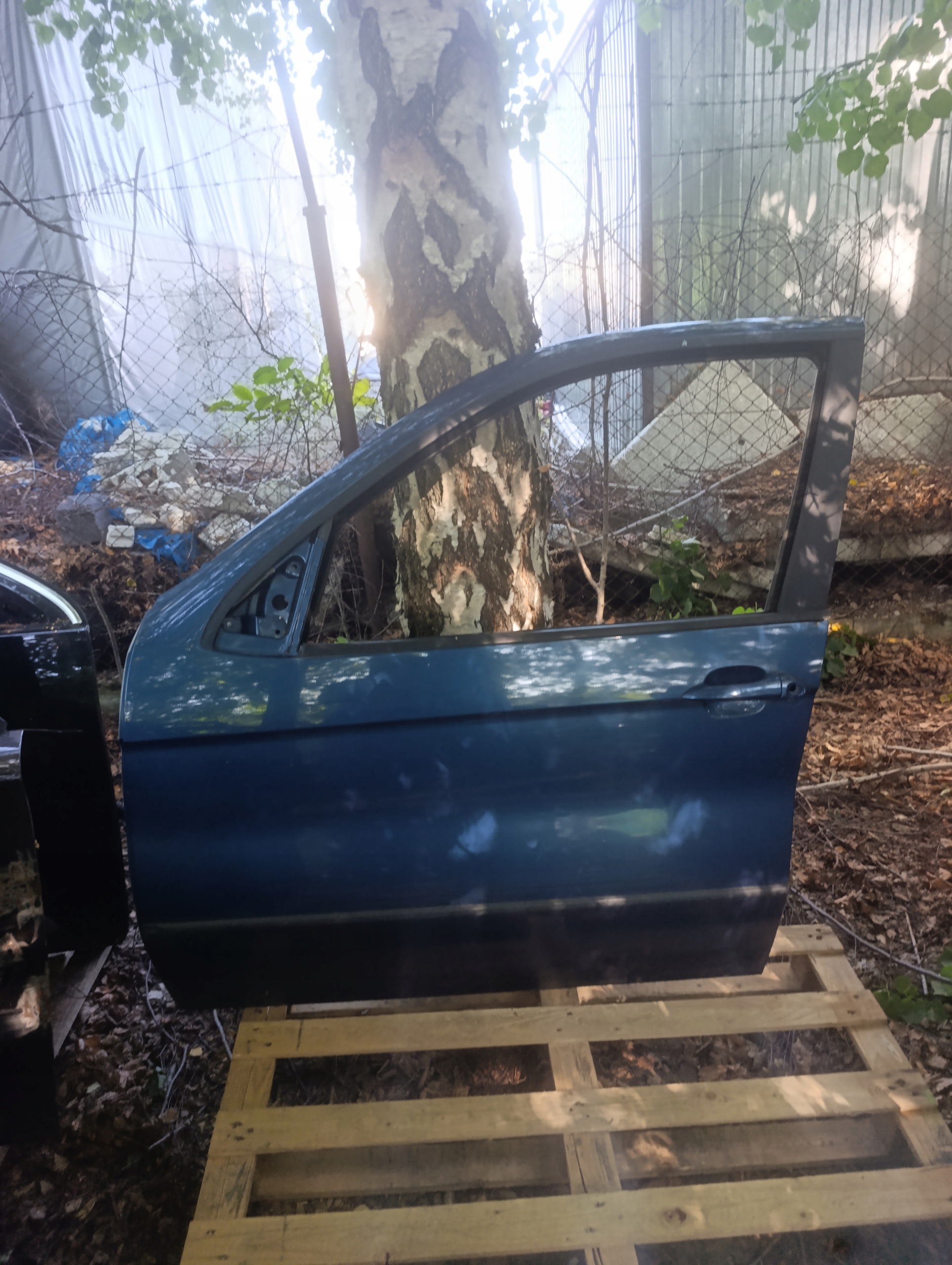 BMW E53 X5 colour 364 door left left front