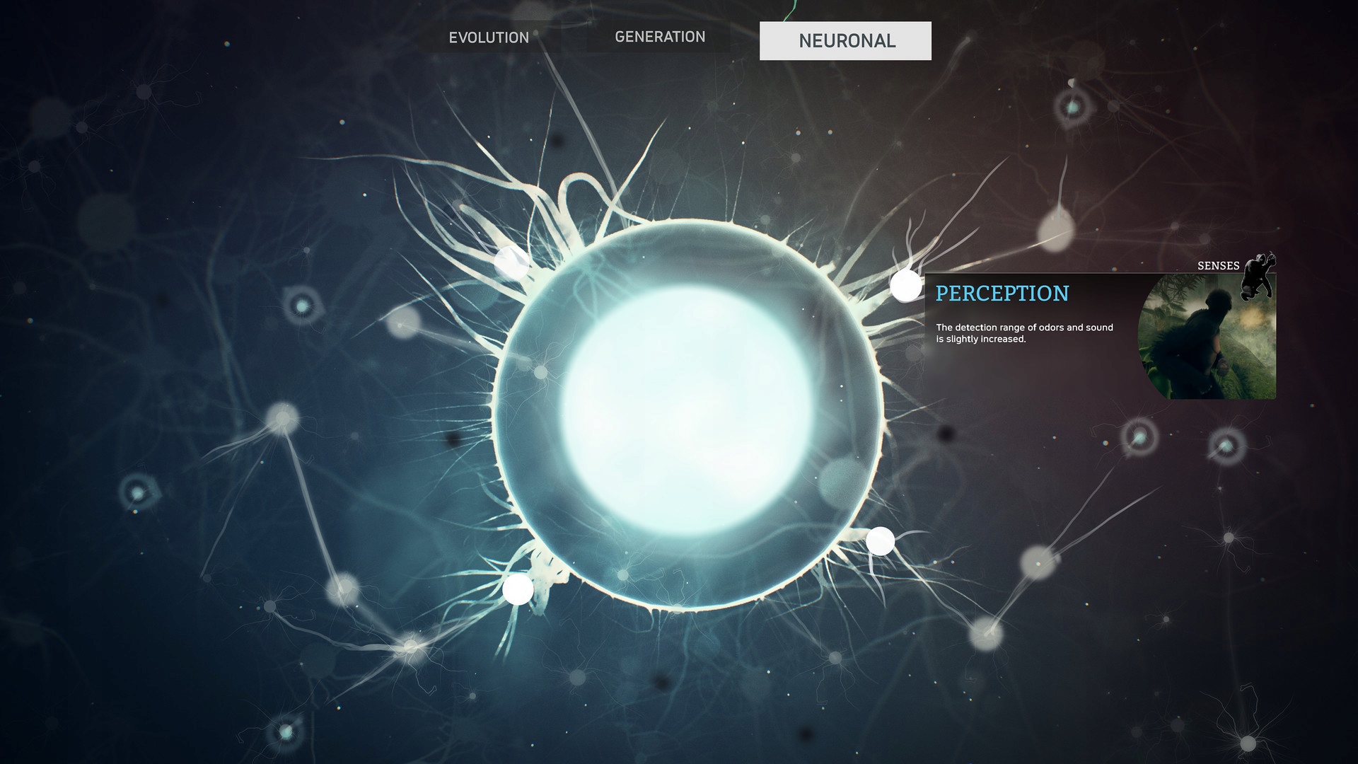 Ancestors The Humankind Odyssey PL KLUCZ Steam Wersja gry cyfrowa