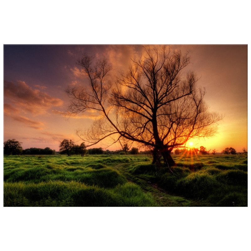 

Wieczorna przechadzka 120x80cm foto-obraz na płótn