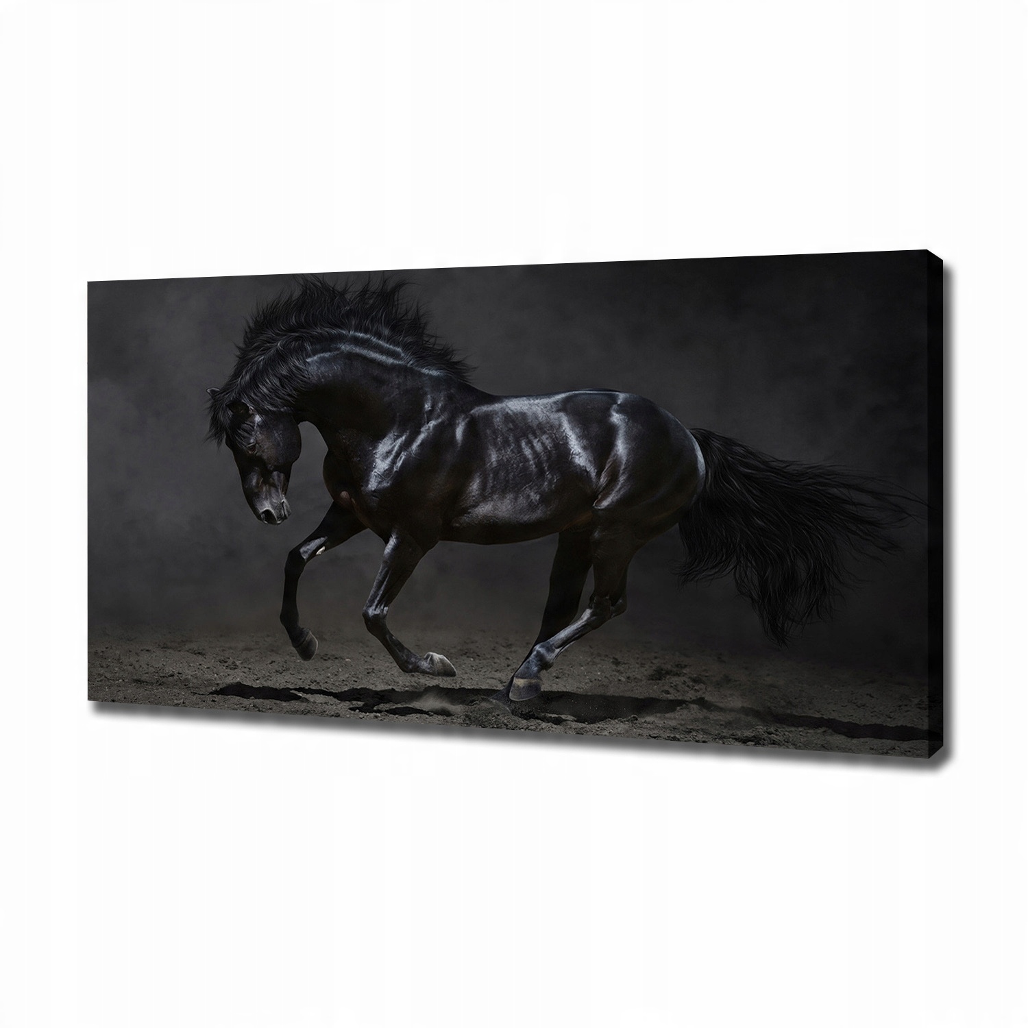 

Foto obraz canvas na ścianę Czarny koń 120x60 cm