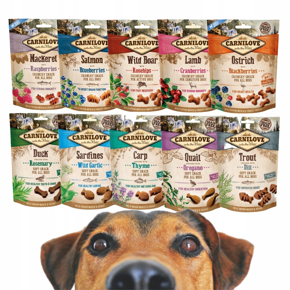 Carnilove psí pamlsky Mix Chutí 10*200g