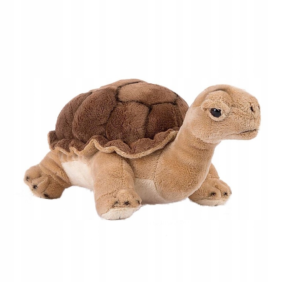 

Masotka Żółw Nature De Brenne 25 cm