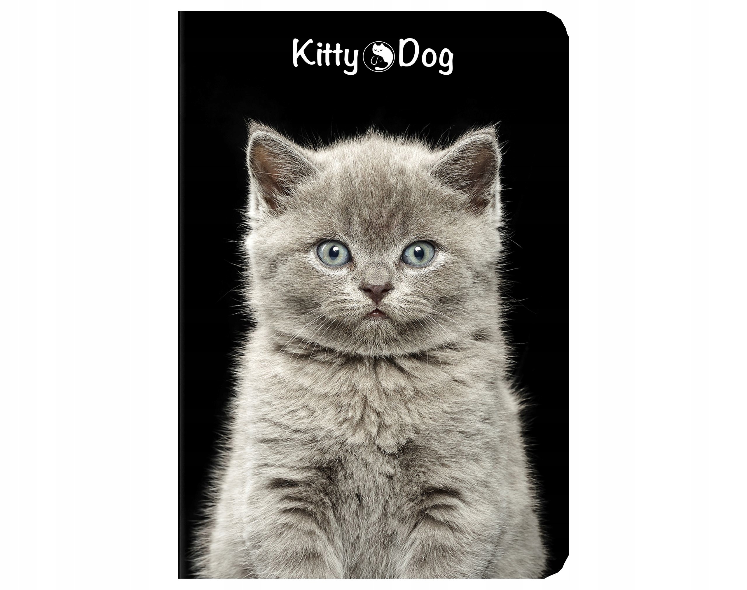 Zeszyt w kratkę A5 TOP-2000 96 kartek