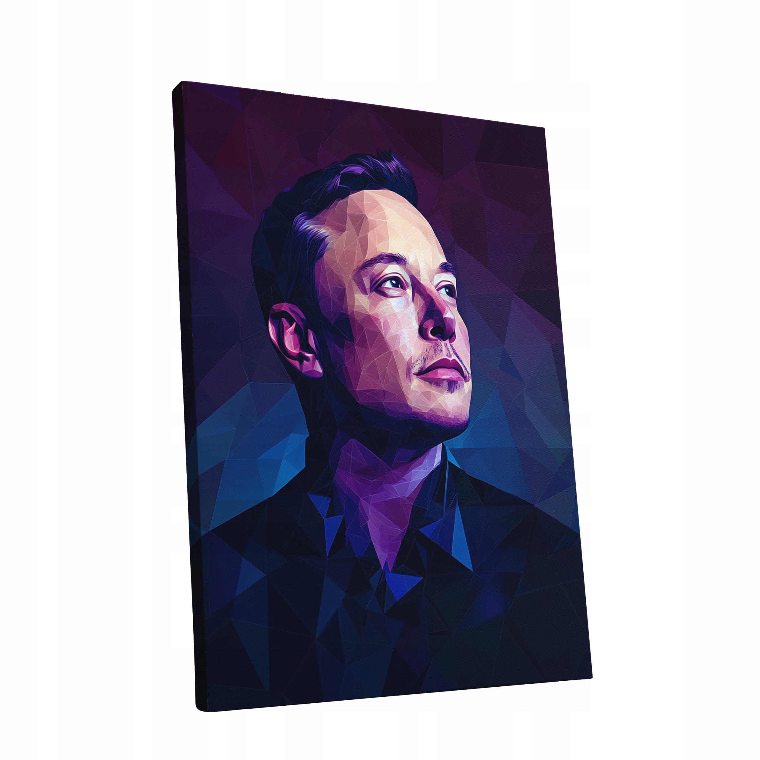 Obraz na plátně Portrét Elon Musk v obývacím pokoji Elona Muska dárek 90x120