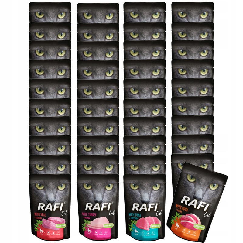 Levně Dolina Noteci Rafi Cat paštika Mix chutí 40x100g