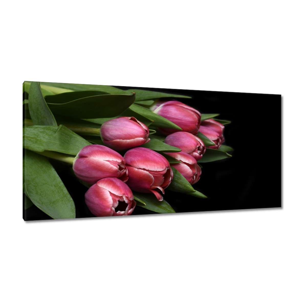 Obrazy 115x55 Šťavnaté tulipány