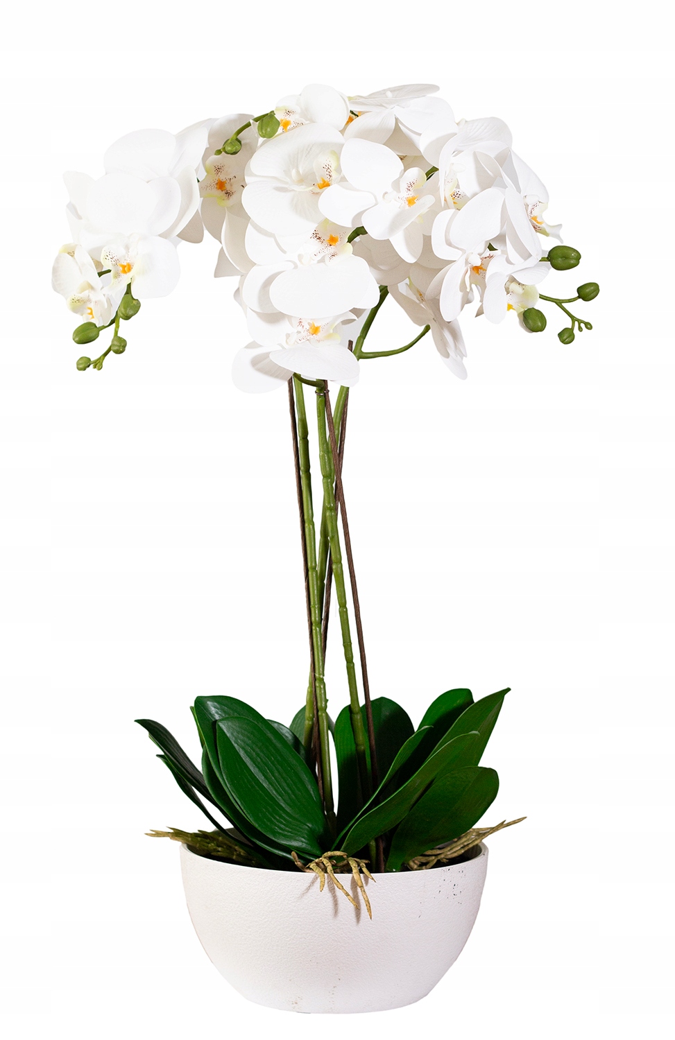 Umelý Orchidea Veľký XXL Realistický Silikónový Biely Dekorácia Ozdoba