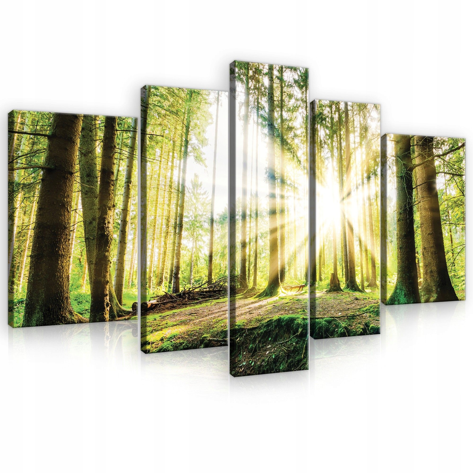 Obraz 170x100 Sluneční les paprsky světla polena harmonie klid zeleň