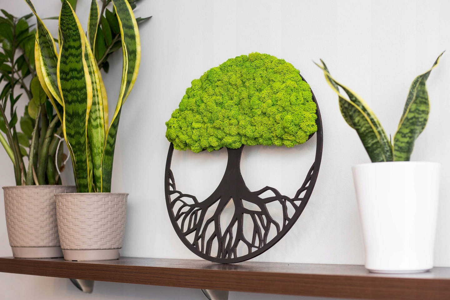 Drzewo życia drzewko chrobotek obraz Kolory 70 cm EAN (GTIN) 0614524462017