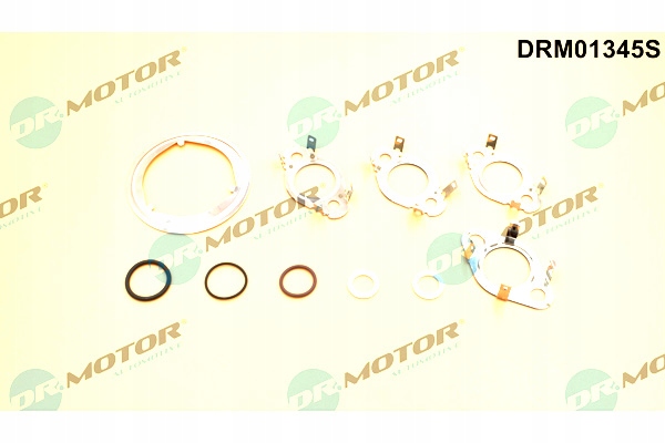 ZESTAW USZCZELEK ZAWORU EGR DR.MOTOR AUTOMOTIVE Producent części Dr.Motor