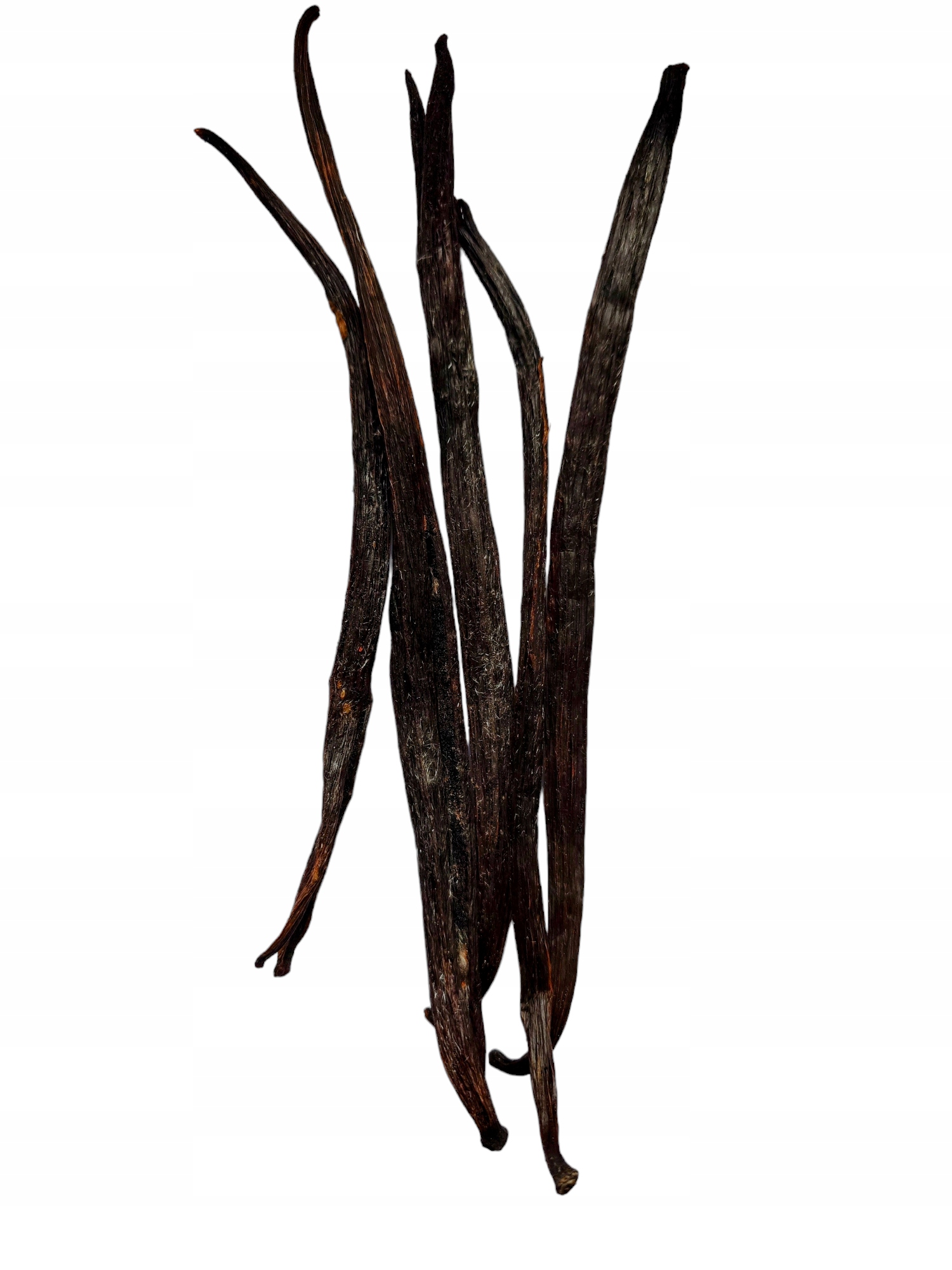 Vykrystalizovaná Vanilkové Lusky 5 Kusů 16-22 cm Vanilková hůl Givre