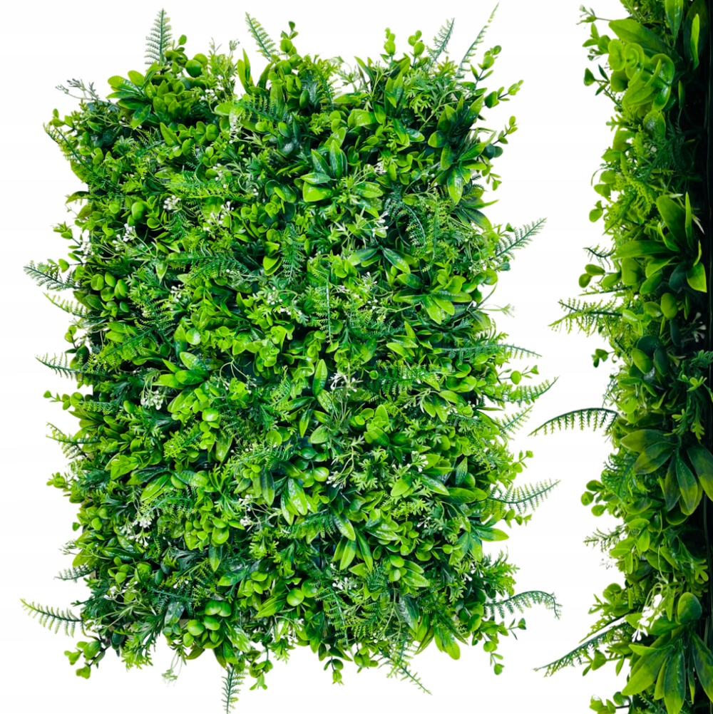 PANEL MATA NA ŚCIANĘ ZIELONA ŚCIANA Z ROŚLIN EUKALIPTUS PAPROĆ TUJ ŻYWOPŁOT