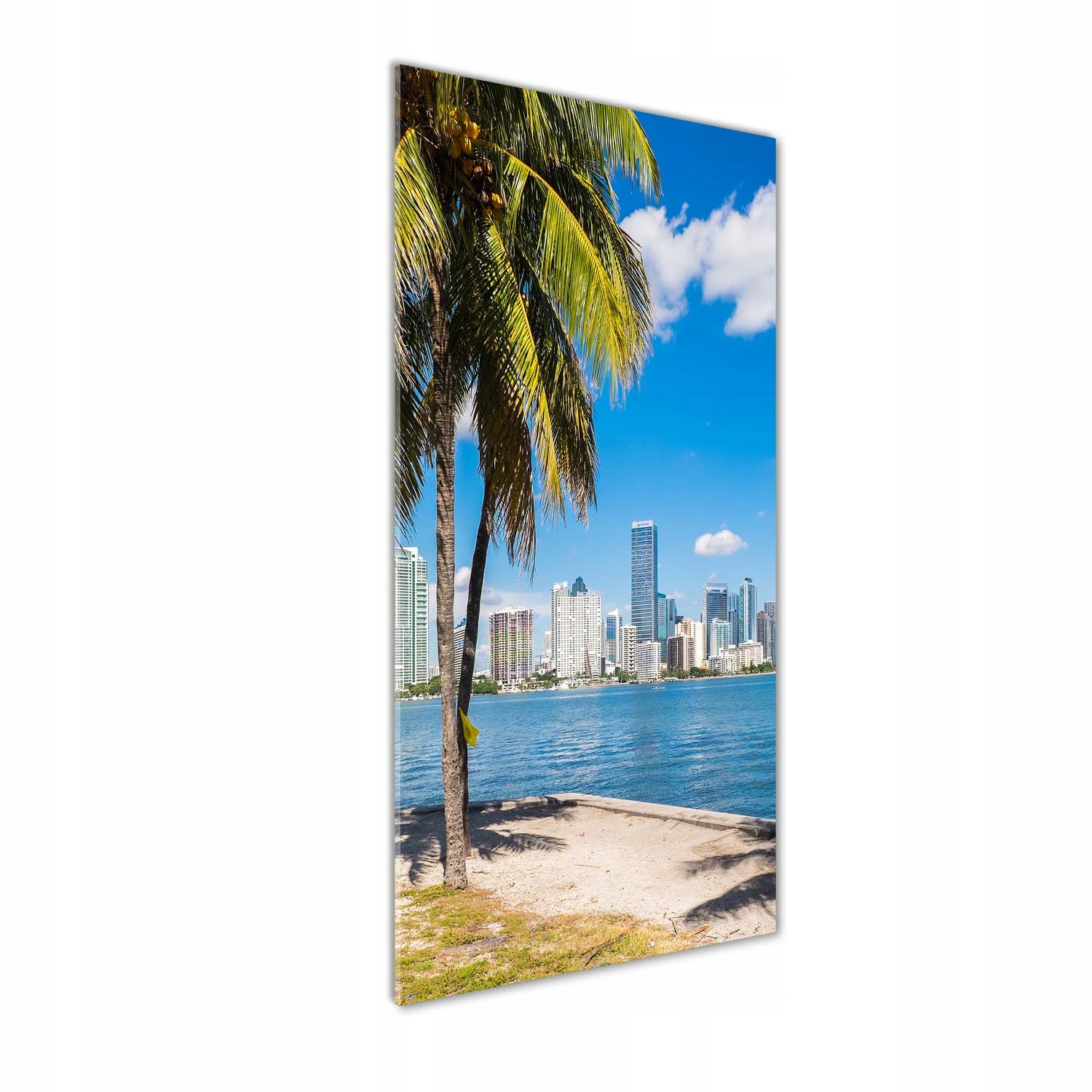 

Nowoczesny foto-obraz akryl na ścianę Miami 50x125