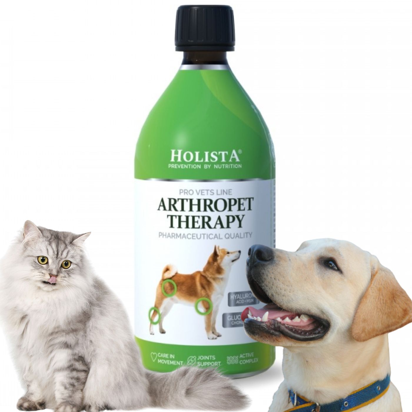 Syrop na stawy dla psa i kota ArthroPet Theraphy 500ml