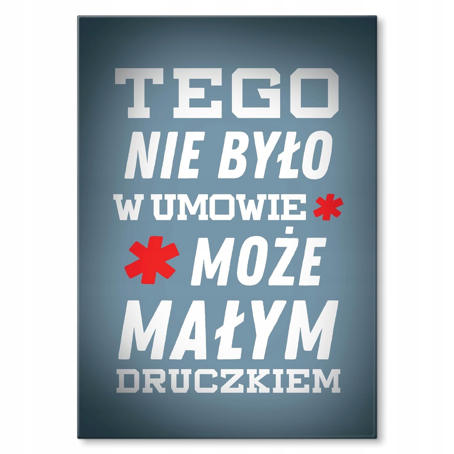 Kovový plakát Malým potiskem Štítek Plech 30 x 42 cm Dárek