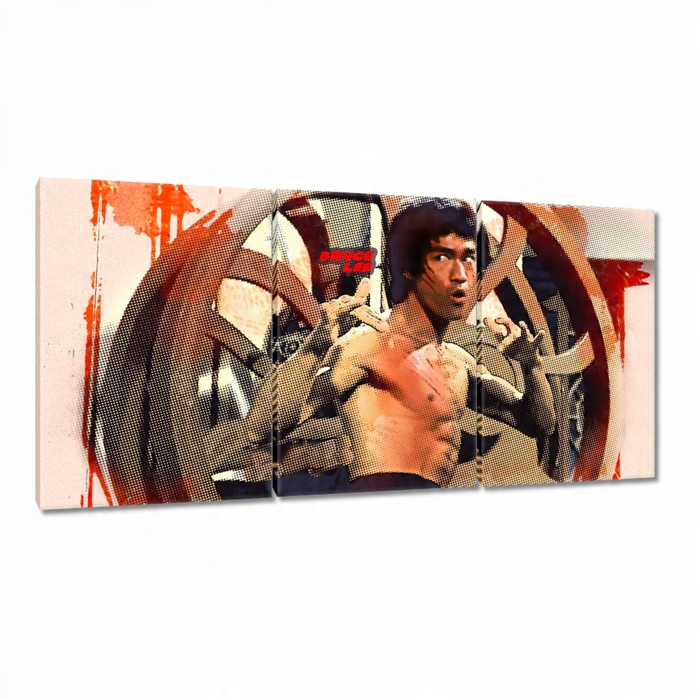 

Obrazy 240x120 Bruce Lee KungFu