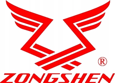 SILNIK ZONGSHEN GB270 272cc 9,0 POZIOMY WAŁ 25,4mm Kod producenta 01-99009