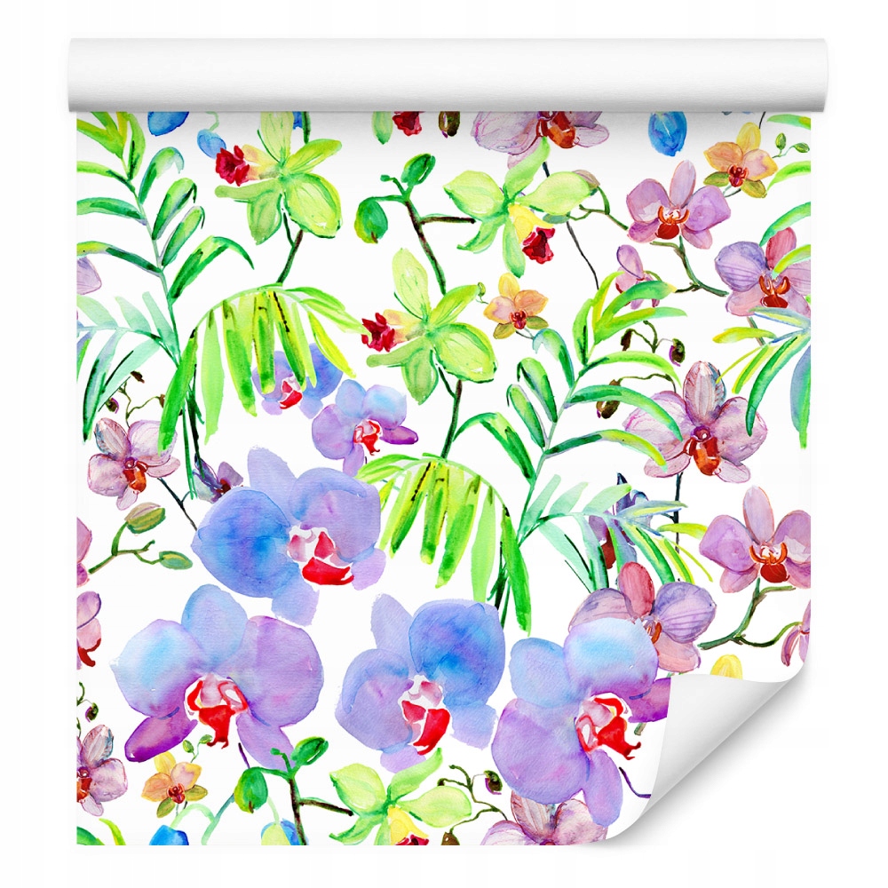 Tapeta orchidej orchideje rostliny květiny do obývacího pokoje