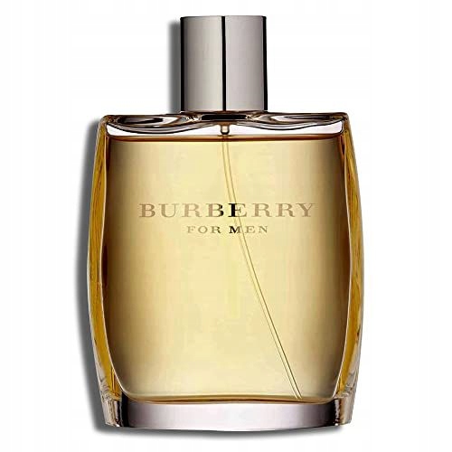 Burberry Burberry For Men Toaletní Voda Objem: 100 ML