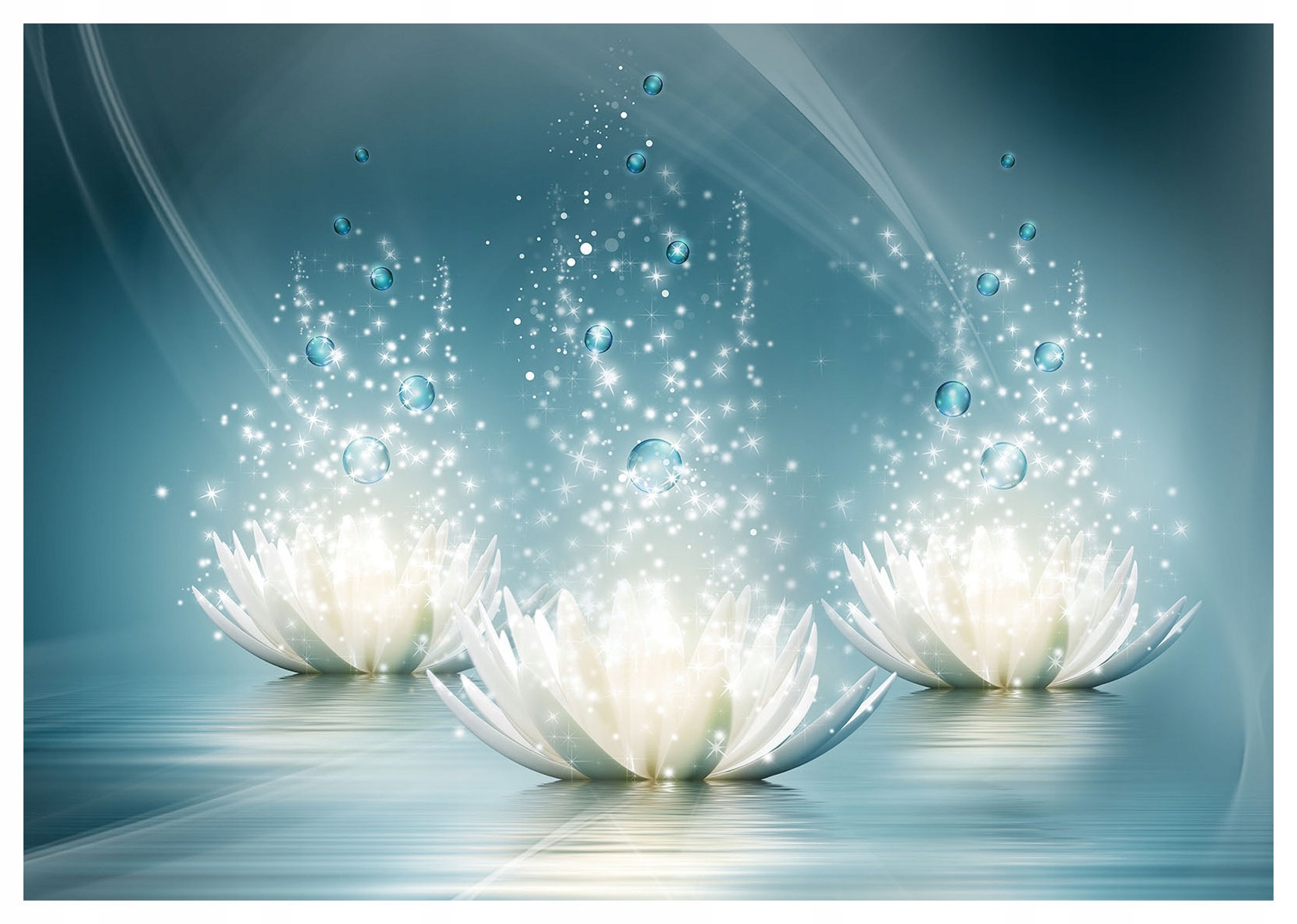 Fototapeta Lotos Harmonie a lesk na zdi 416x290 vinylová lepidlo