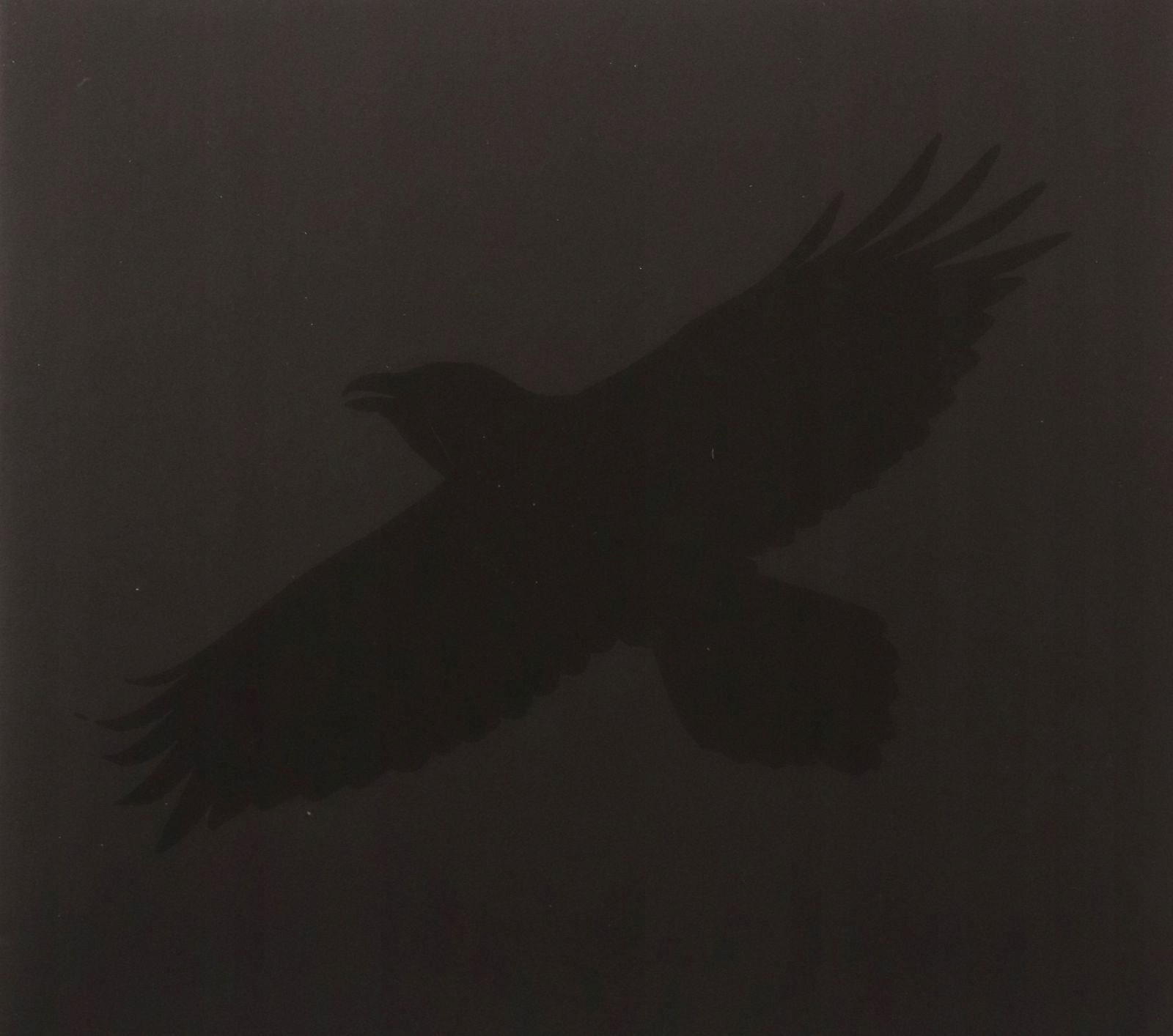Sigur Rós: Odins Raven Magic (with Steindór Andersen, Hilmar Orn Hilmarsson