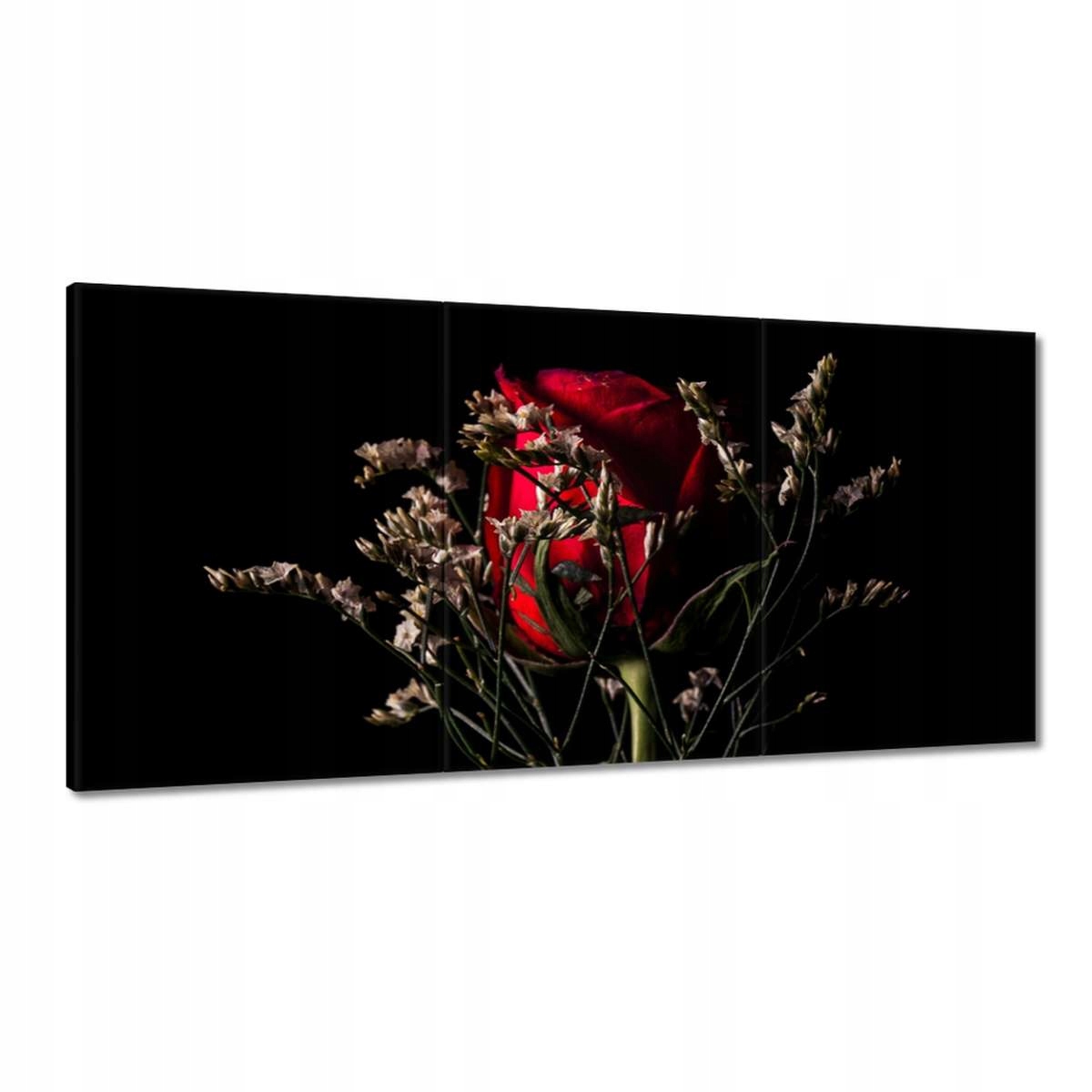 Obrazy 180x90 Ruža Kvet Kvety Ruže