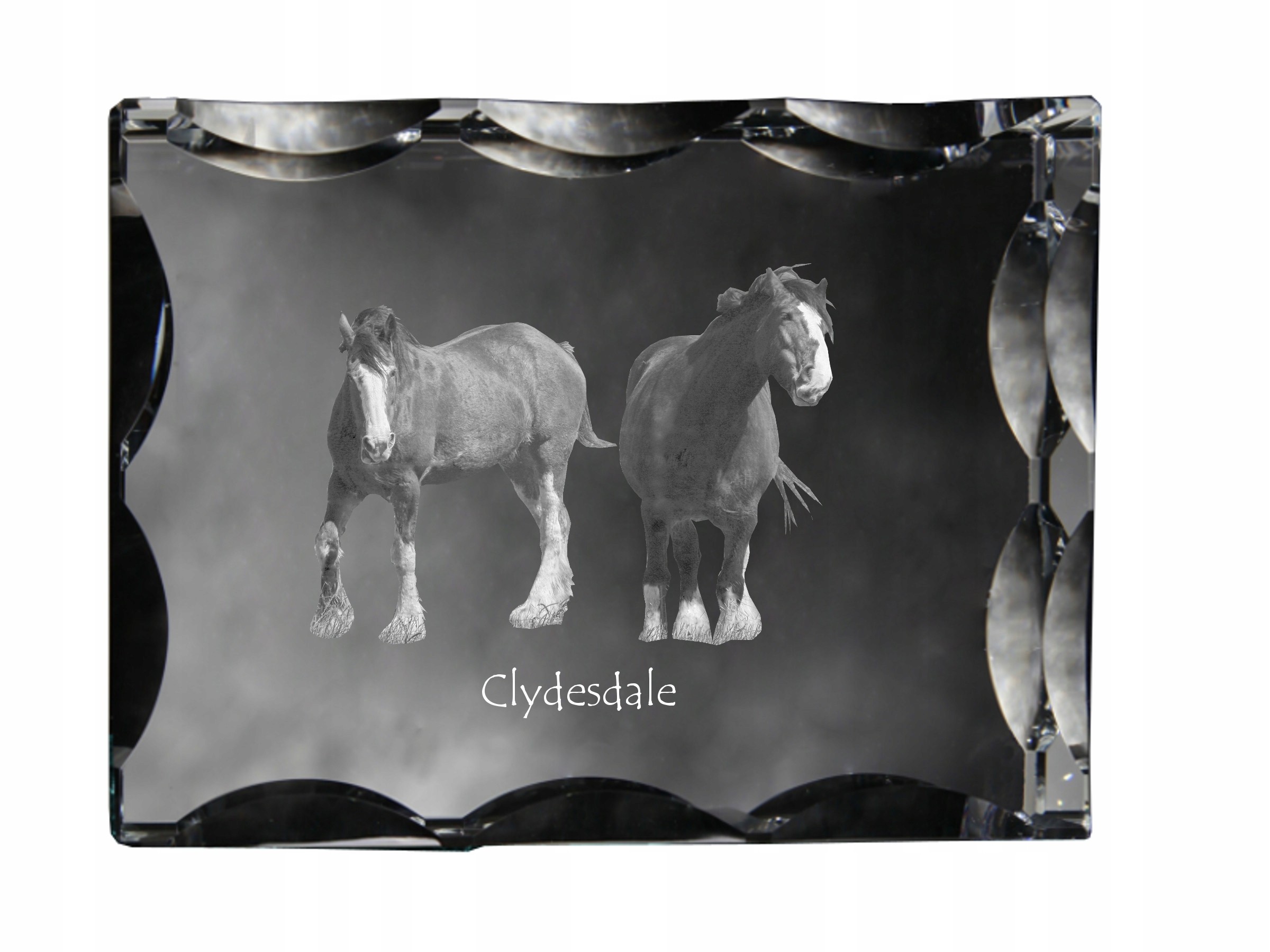 Kôň Clydesdale fotografia v ozdobnom kryštáli, suvenír, dekorácia domu