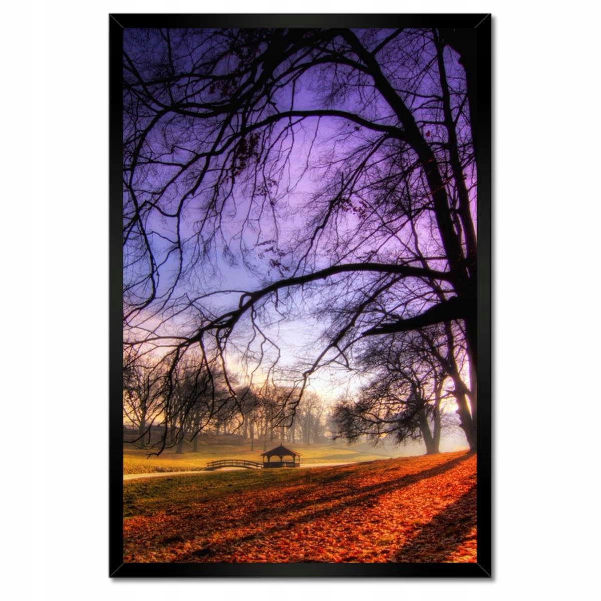 Plakáty v rámu 40x60 Park v Wąsowie