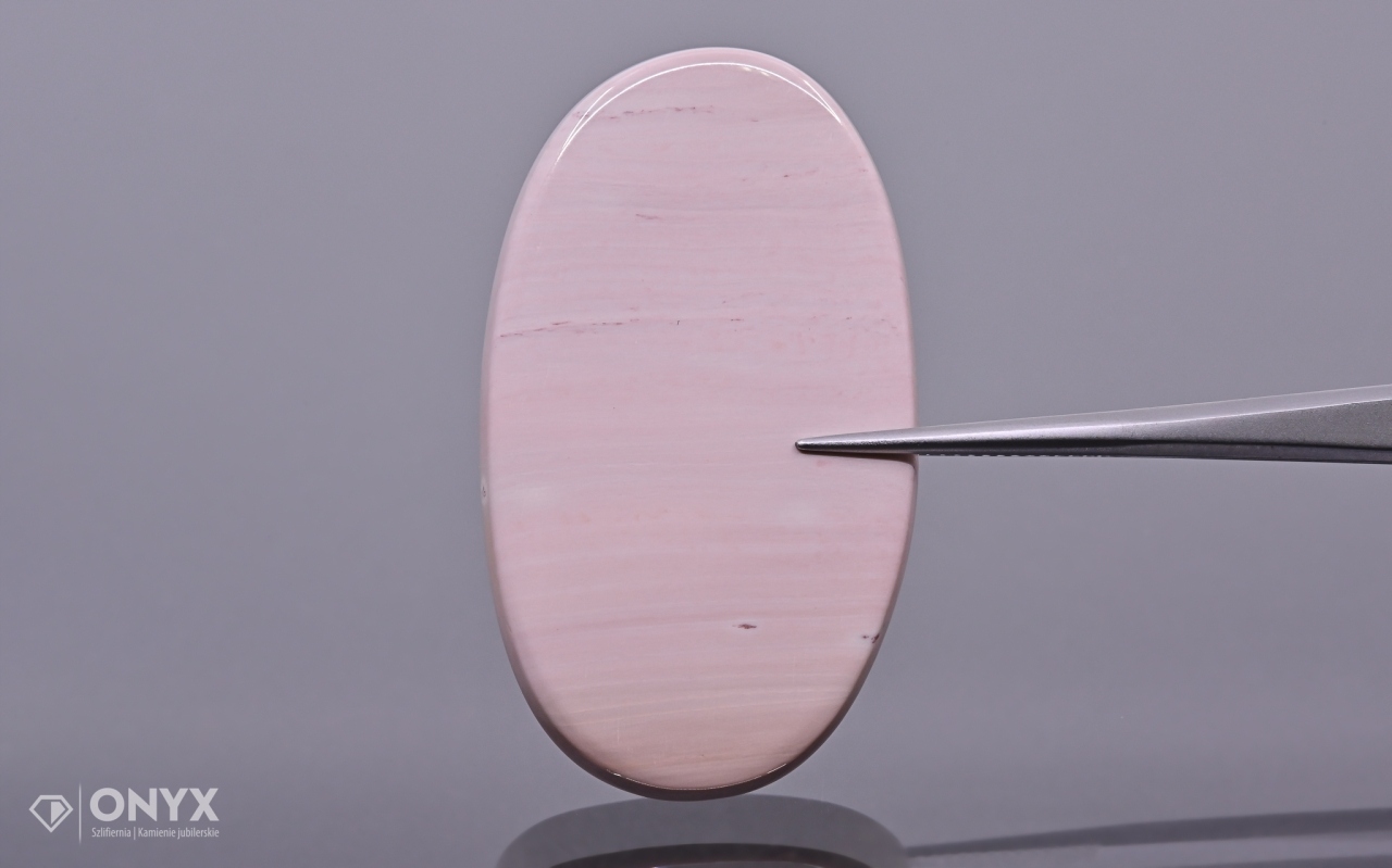 Zkamenělá dlaň konvexní nepravidelná dlažba 44x25,5 mm