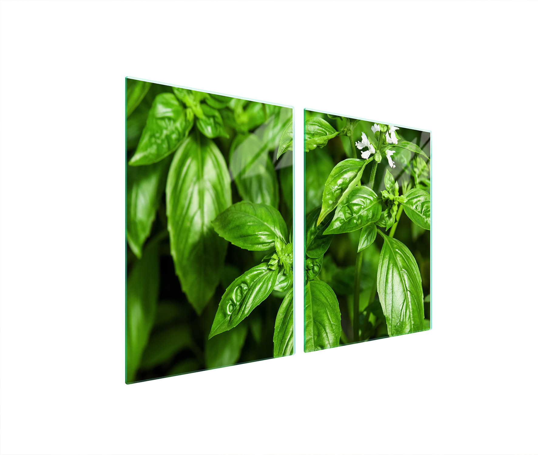 Ochranná Skleněná Deska Do Kuchyně 2x45x52 Bazalka Tvrzené Sklo