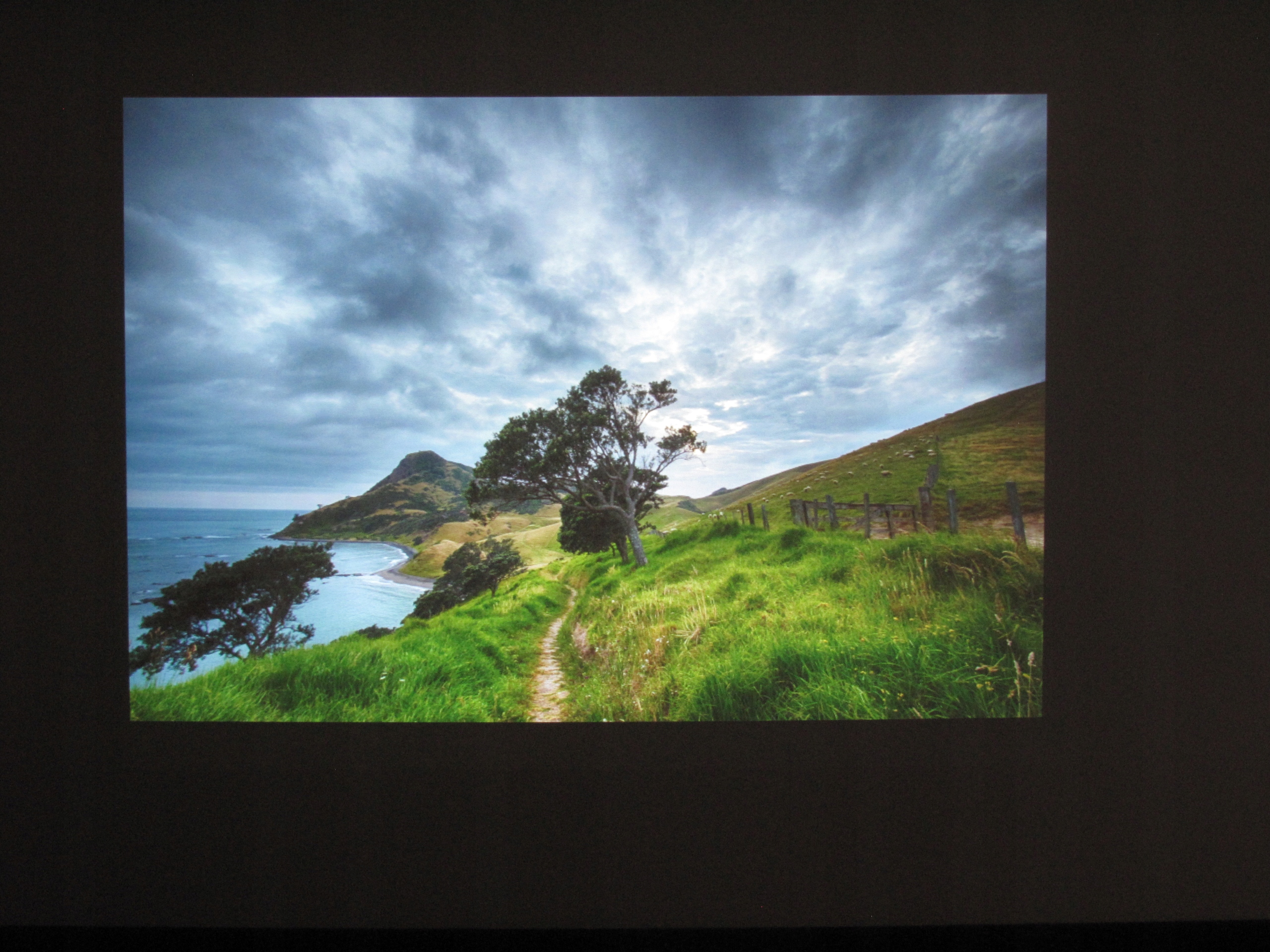 PROJEKTOR RZUTNIK INFOCUS 3200ANSI HDMI XBOX PS4 Marka InFocus