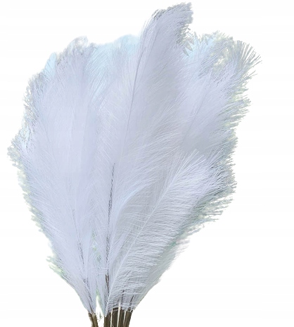 

5 sztuk Trawa sztuczna pampasowa xxl 105 cm