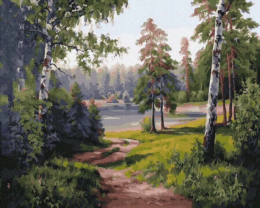 Malowanie po numerach iPicasso 40x50 cm bez ramy