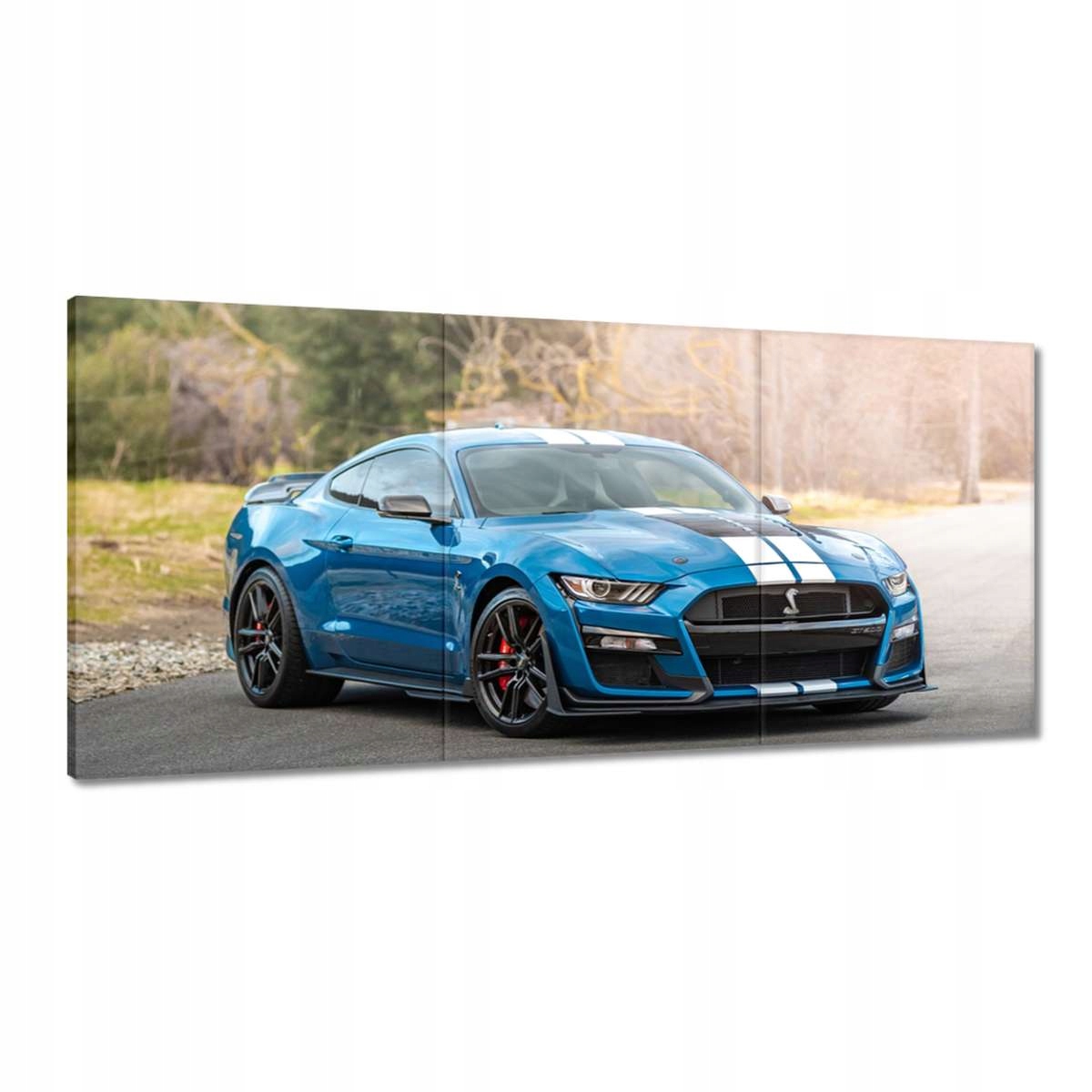 Obrazy 210x100 Modrý Ford Mustang