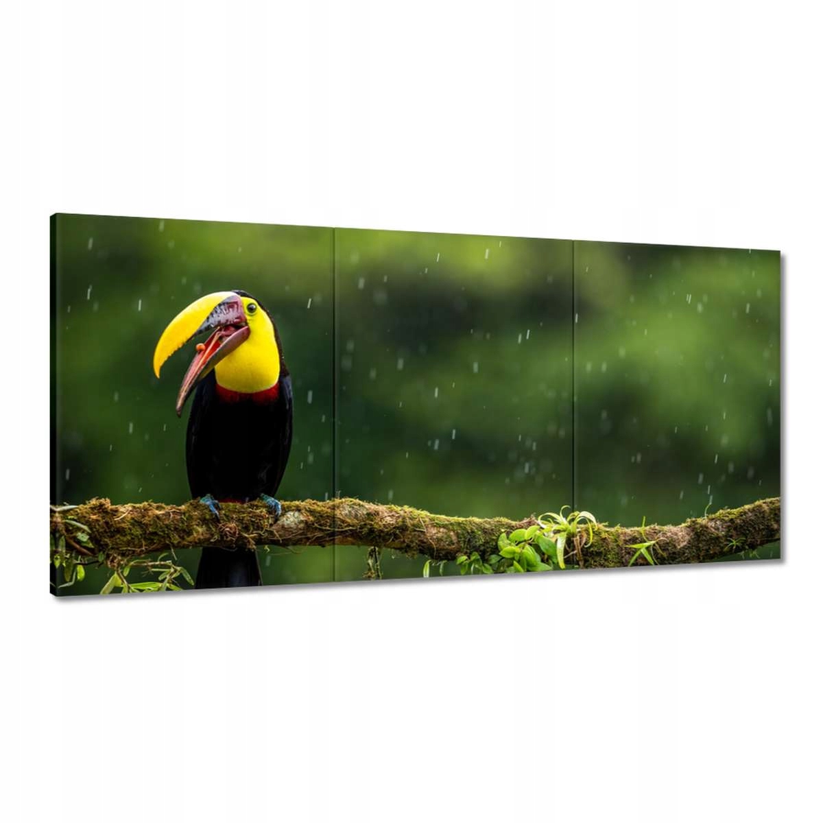 Obrazy 180x90 Vtáky Vtáky