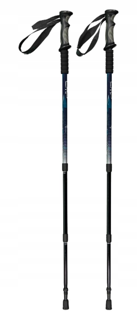 Cmp Trekingové hole Bern Trekking Poles černo-modré 3B36297 M916