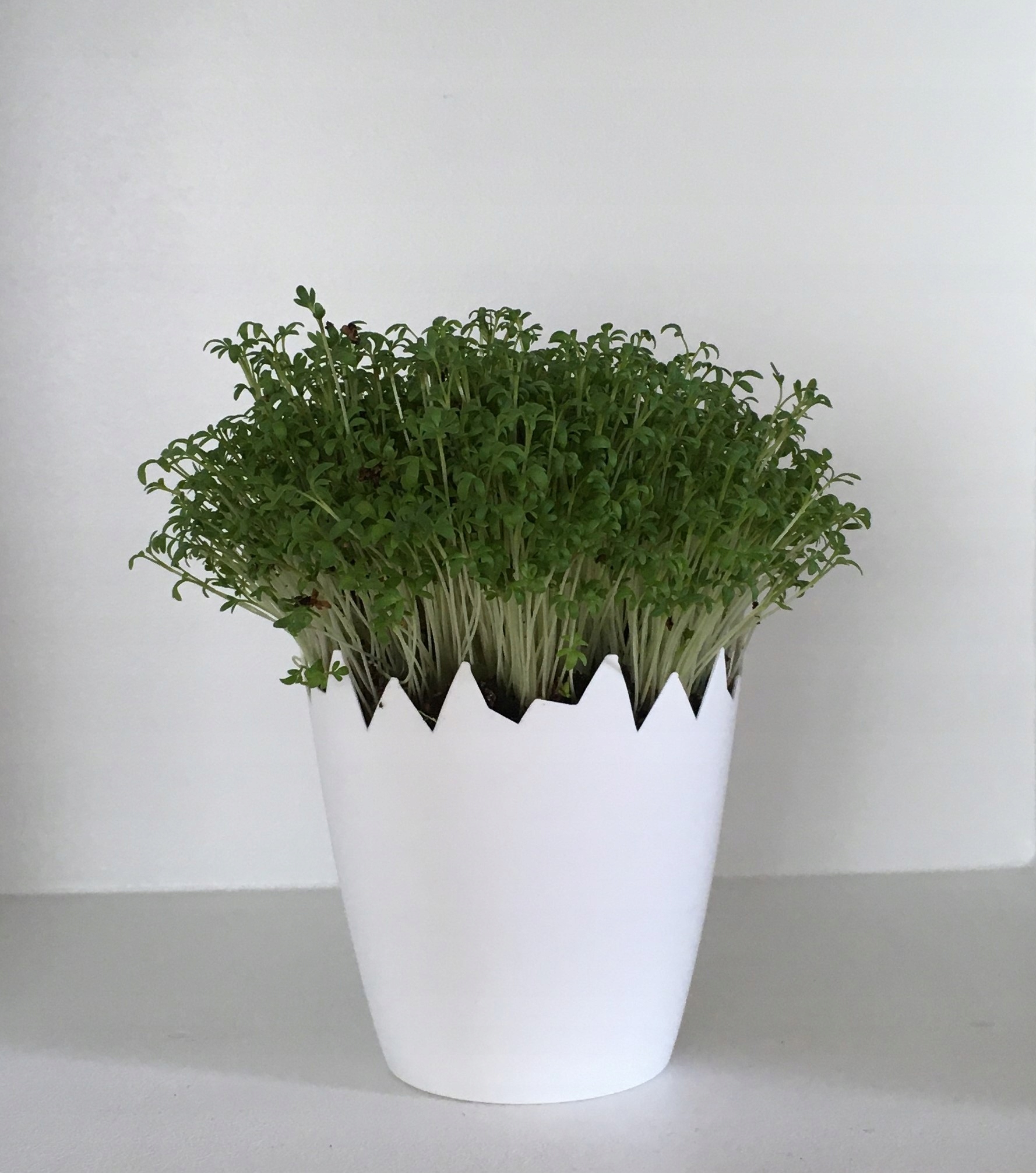 

Skorupka 10 cm osłonka doniczka Wielkanoc biały