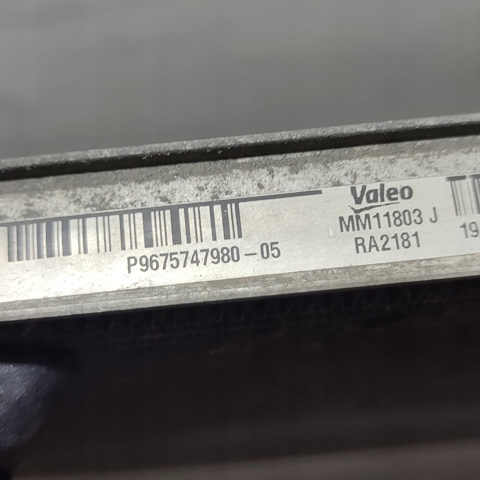 Peugeot 308 2019 water cooler