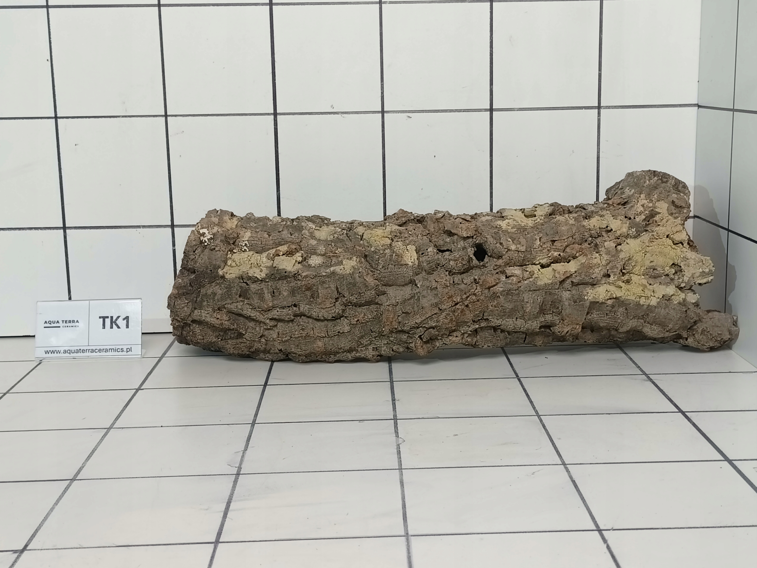 Tuba Korkowa Do Terrarium (to co na zdęciu) Dąb Korkowy Kryjówka TK1