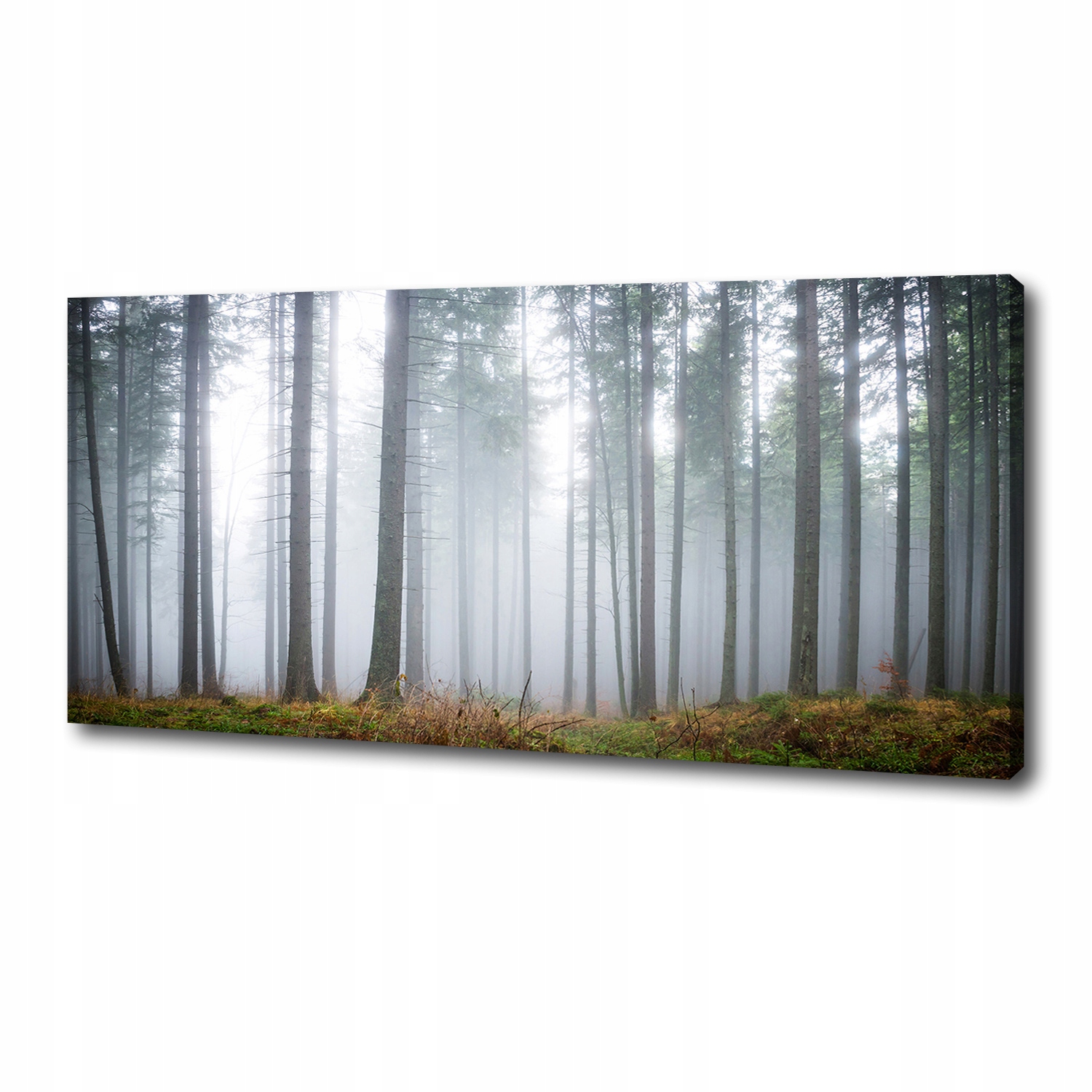 

Foto obraz duży na płótnie Mgła w lesie 125x50 cm