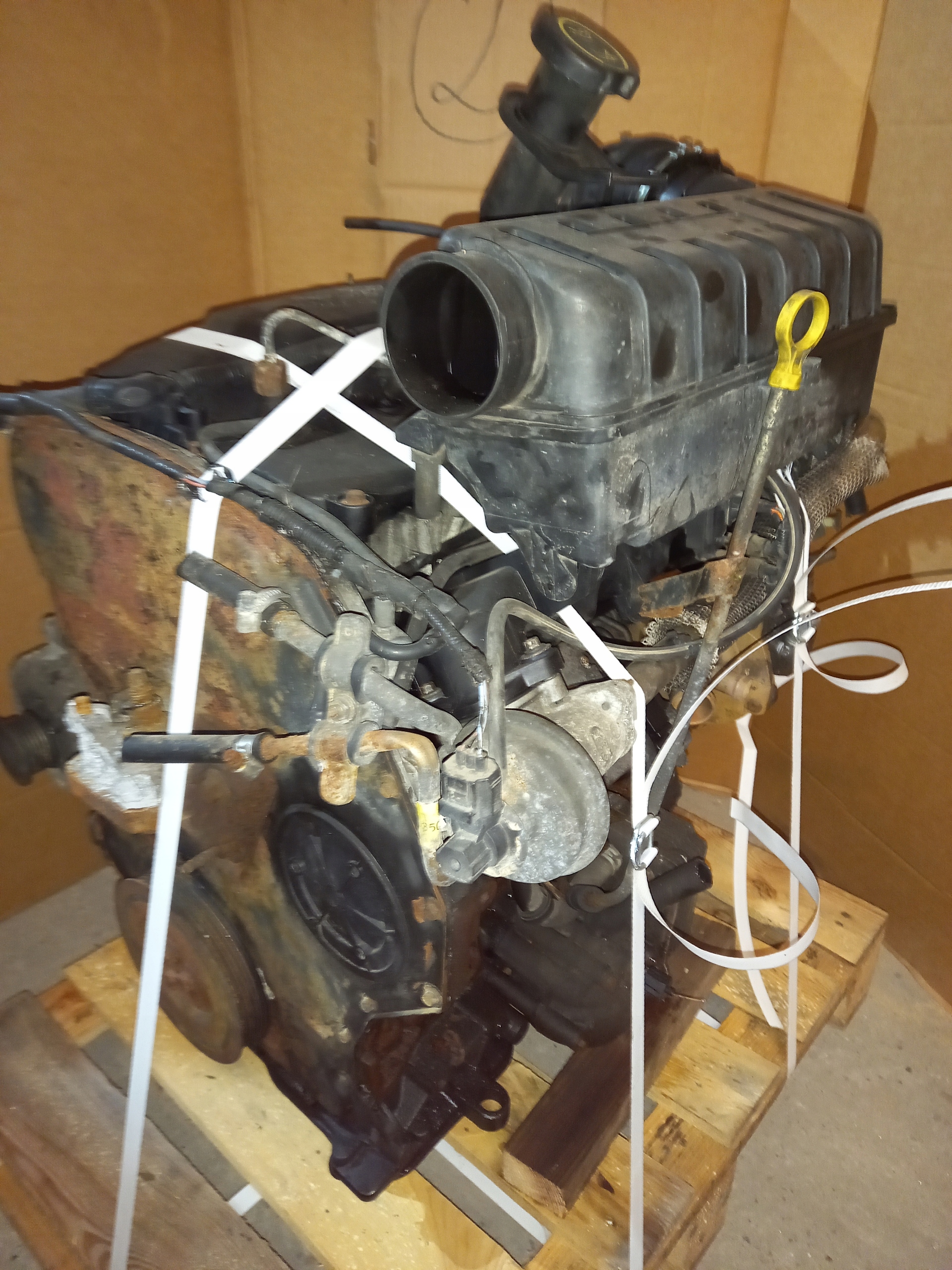 engine 2.0TDDI F3FA complete FORD TRANSIT MK6 pump PADLA PEWNY DO MONTAZU