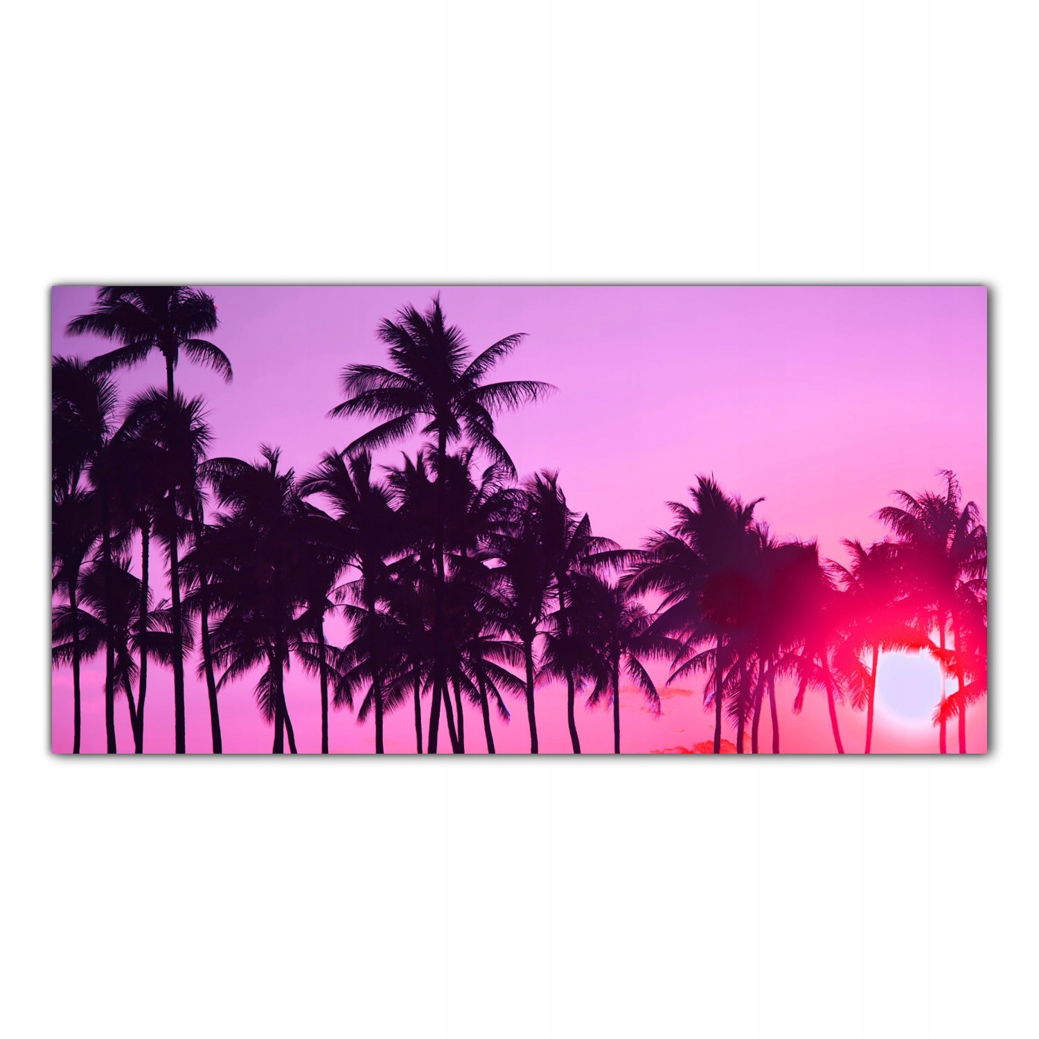 

Obraz na szkle Foto Palmy Drzewa Tropiki 100x50