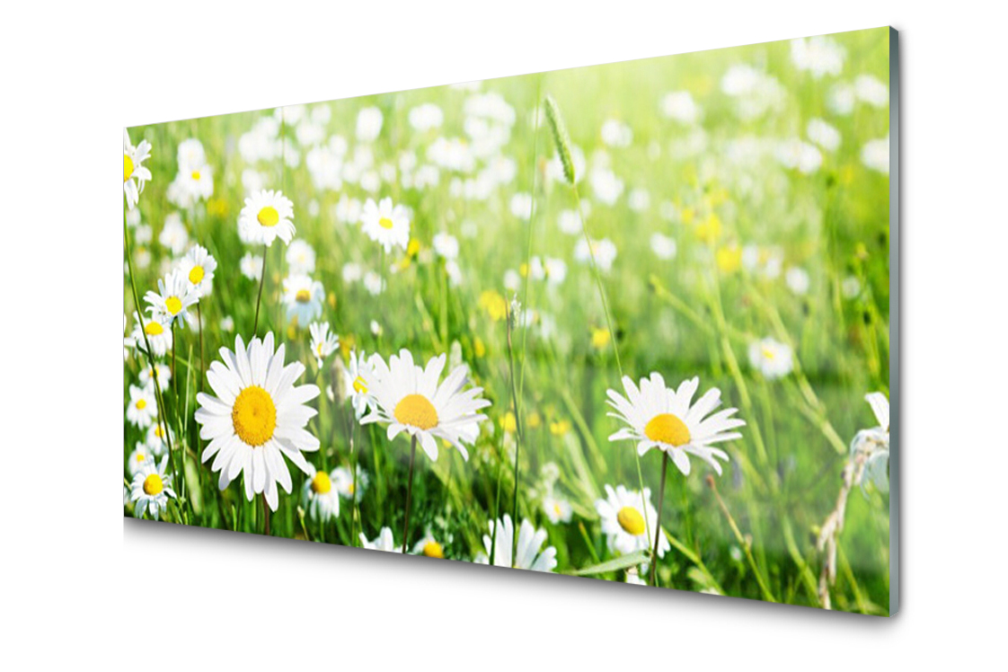 

Panel szklany dekor Stokrotka Kwiat 120x60 + Klej
