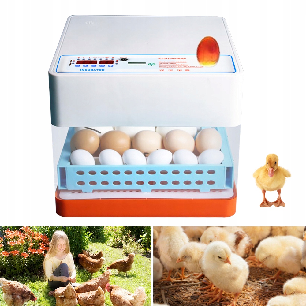 Wysokiej jakości automatyczny inkubator na 24 jaja Nazwa handlowa Automatyczny