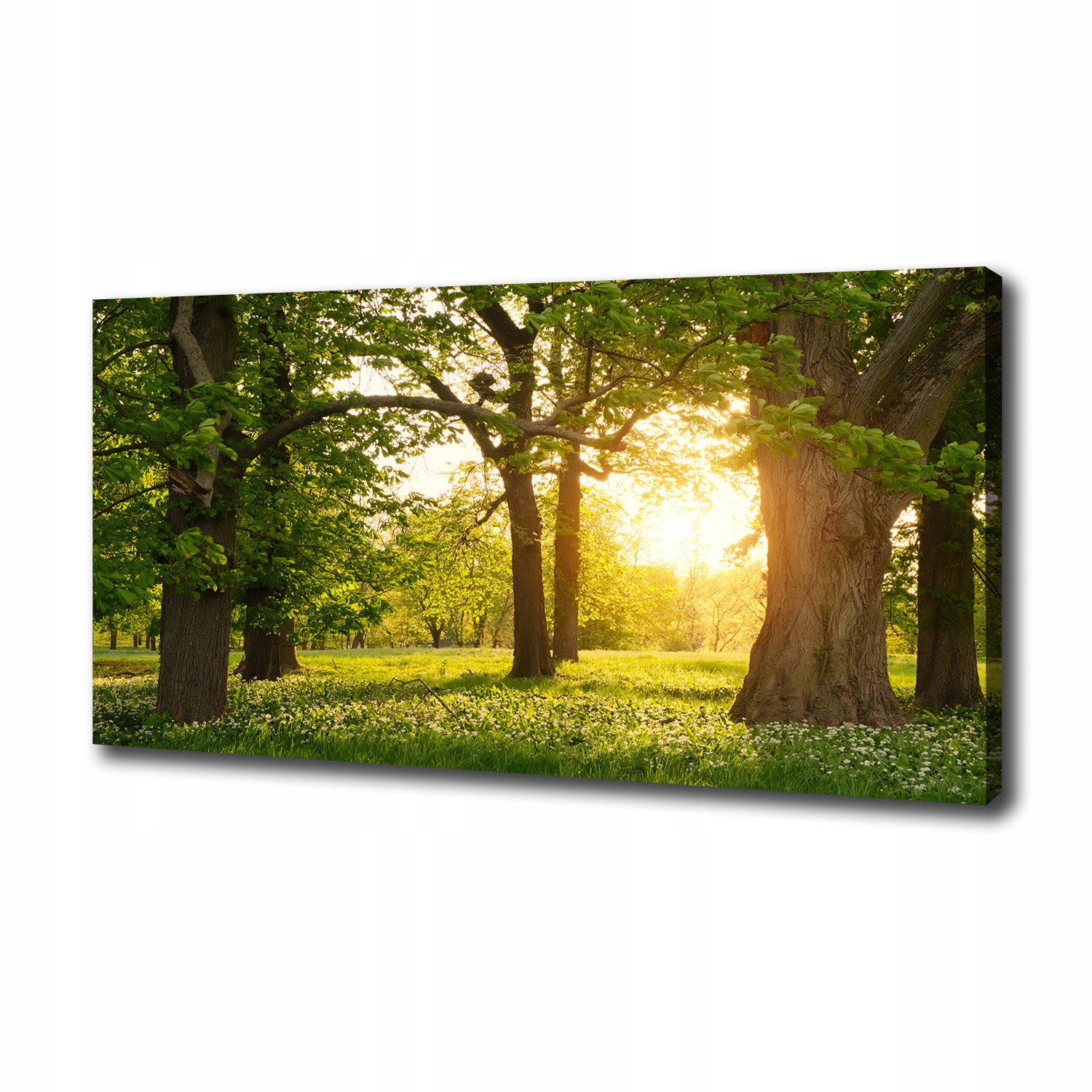 Fotoobraz obraz na plátně Stromy v parku 100x50 cm