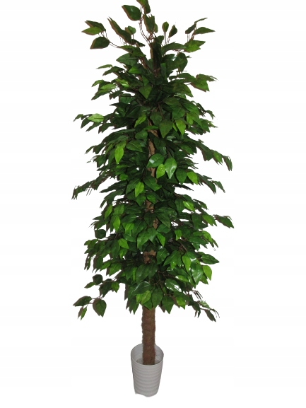 

Sztuczny Fikus Drzewko Beniamin Benjamin Kwiat 180