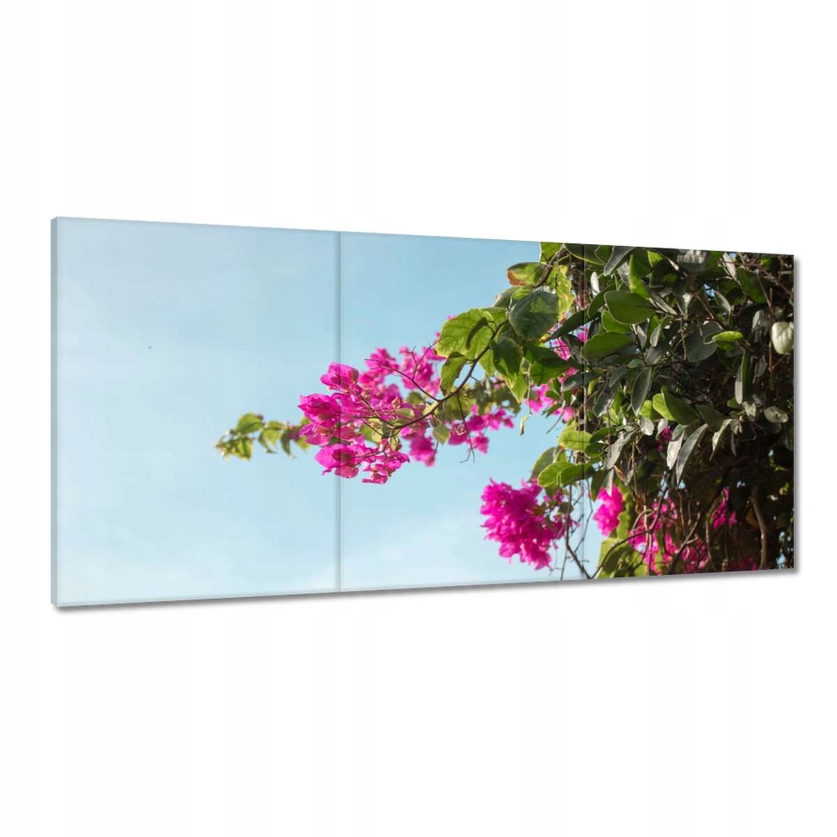 Obrazy 180x90 Kvietky Kvety Kvetinky